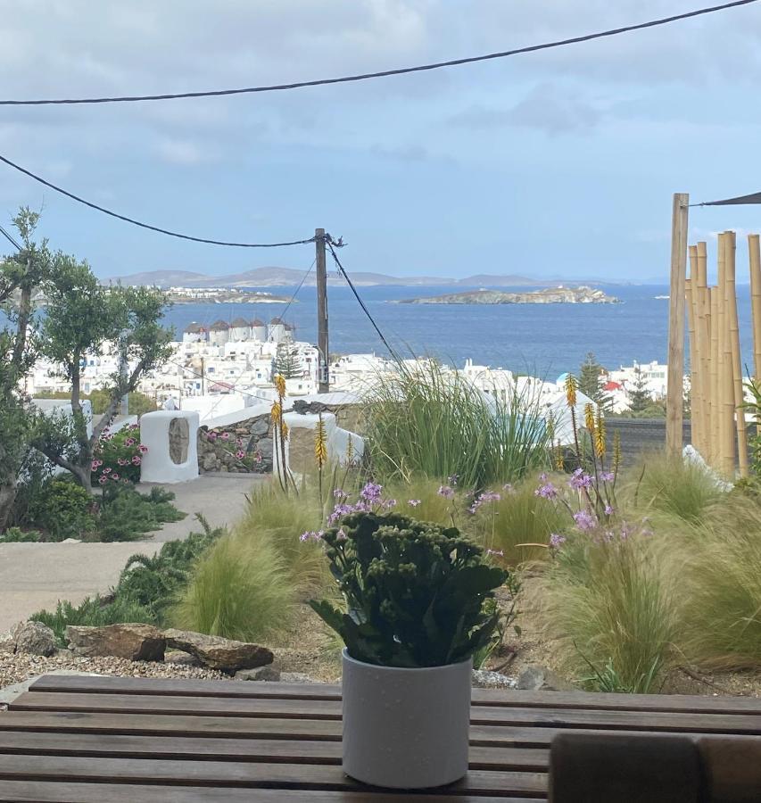 The View Of Mykonos Lejlighed Mykonos Town Eksteriør billede