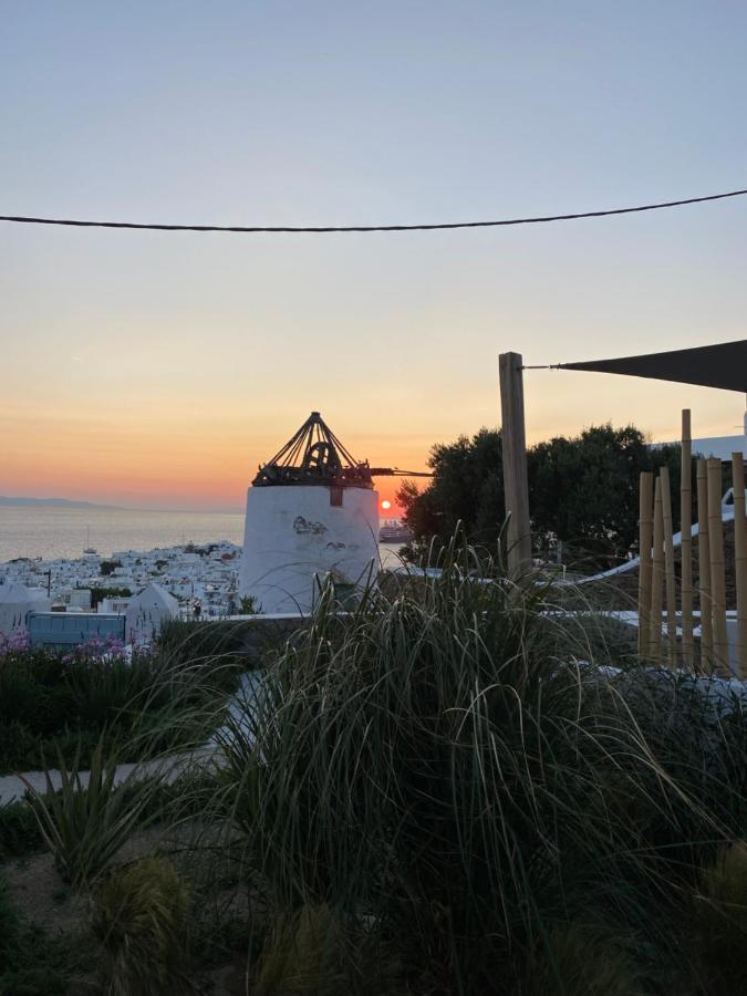 The View Of Mykonos Lejlighed Mykonos Town Eksteriør billede
