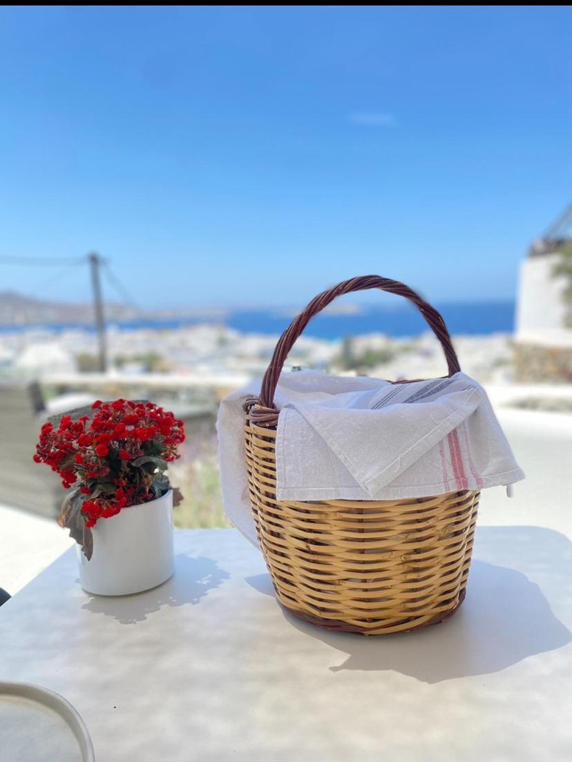 The View Of Mykonos Lejlighed Mykonos Town Eksteriør billede